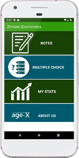Zimsec Economics Revision