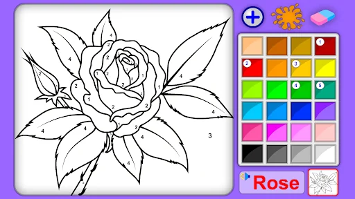 Draw & Color by Numbers