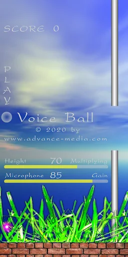Voice Ball