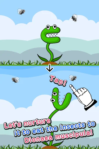 Venus Flytrap