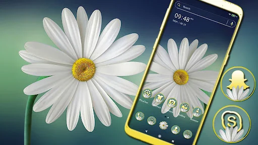 White Gerbera Daisy Theme