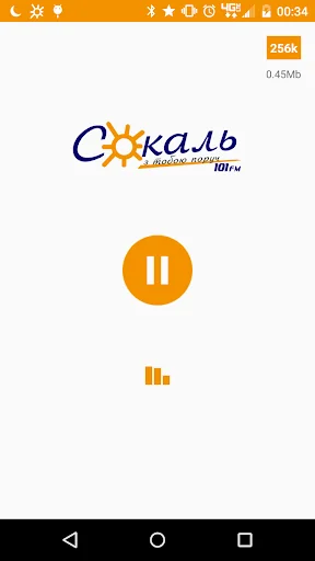 Radio Sokal online