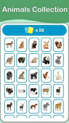 Animals Cards Games