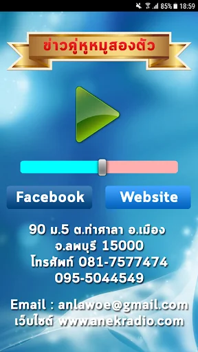 ข่าวคู่หูหมูสองตัว
