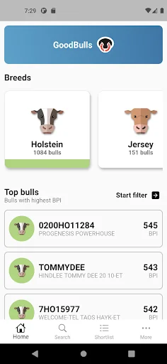 Good Bulls