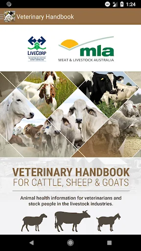 Veterinary Handbook