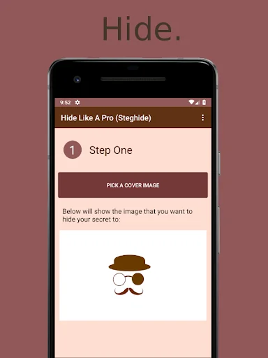 Hide Like A Pro: A Privacy Gua