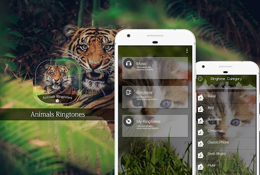 Animals Ringtone