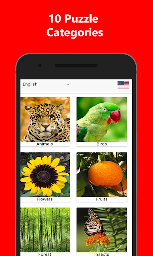 Puzzle Game: Match & Solve