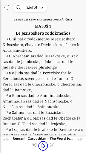 E Biblia Andre Romaňi Čhib