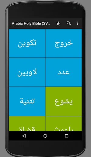 Arabic Holy Bible (SVD)
