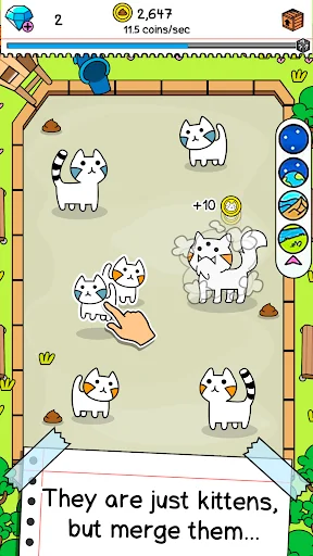 Cat Evolution: Merge Animals
