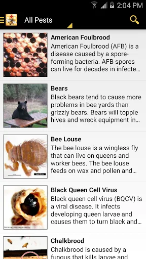 Bee Health