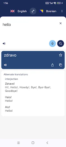 Bosnian English Translator