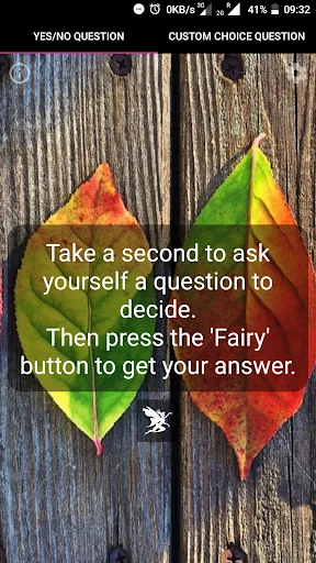 Decision Helper Fairy