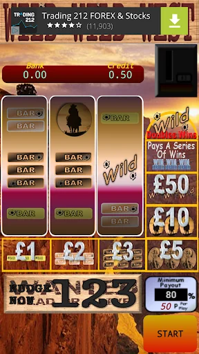 WILD WILD West Fruit Machine