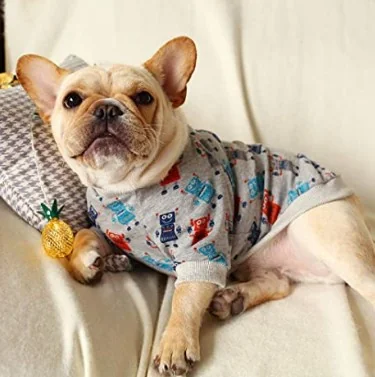 Dog Clothes Idea