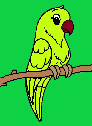 Coloring Birds