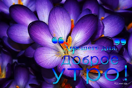 Good Morning in Russian