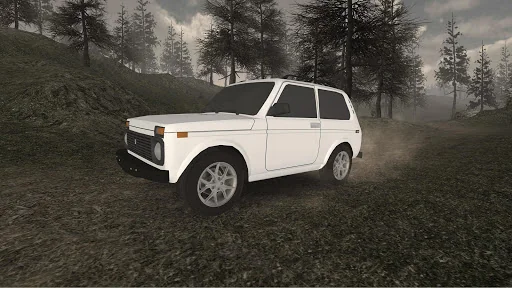 Forest Roads. Niva