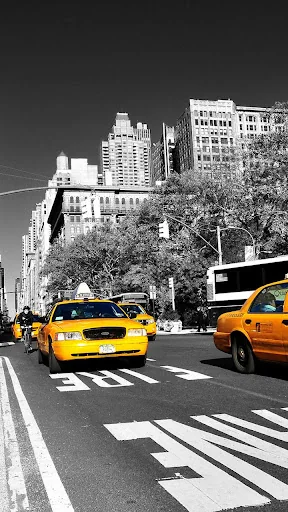 New York City Live Wallpaper