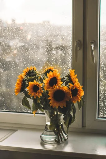 Roses gif