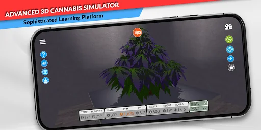 simLeaf