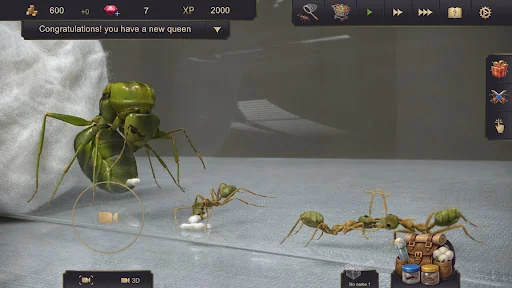 Ant Sim Tycoon