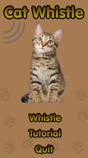 Cat Whistle, Trainer