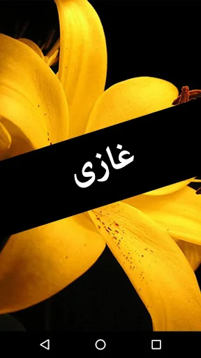 Ghazi by Abu Shuja Abu Waqar -
