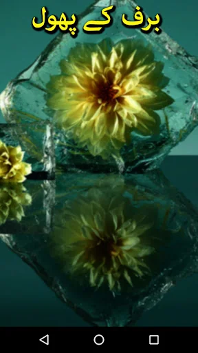 Baraf Ky Phool by Nasir Hussai
