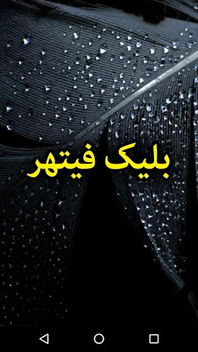 Black Feather by Mazhar Kaleem
