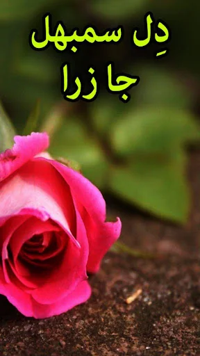 Dil Sambhal Ja Zara by Khanzad