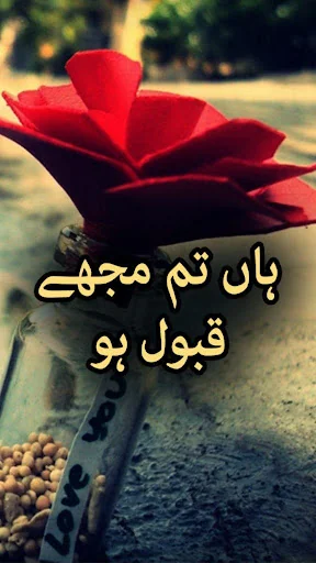 Haan Tum Mujhe Qubol Ho by Sha