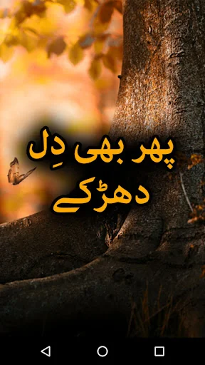 Phir Bhi Dil Dharkta Ha -Novel