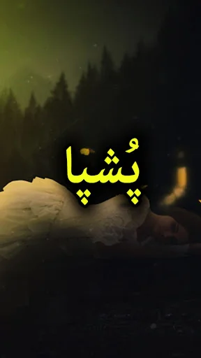 Pushpa Novel by Shahzaib Butt