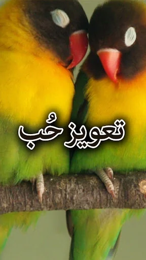 Taweez e Hub by Aimal Raza - U