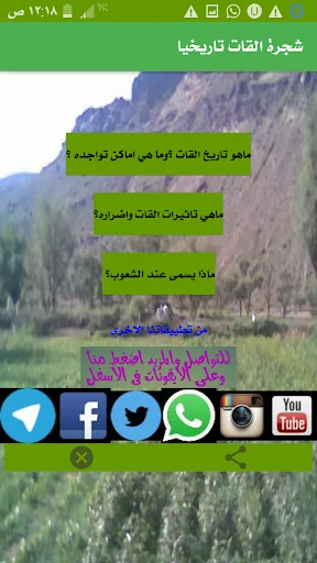 شجرة القات تاريخيا