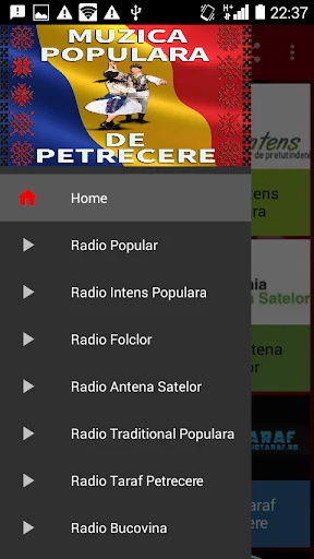 Muzica Populara Radio Live