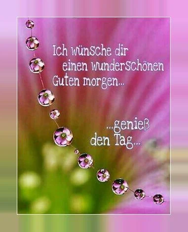 Guten Morgen und Gute Nacht