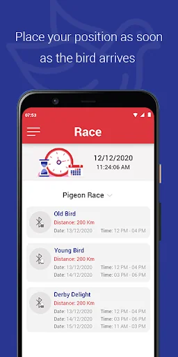 Pigeon Sports Clock