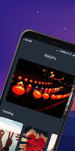 WallyPix HD Wallpapers