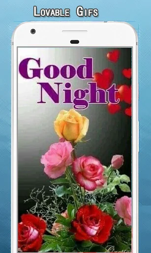 Good Night GIF