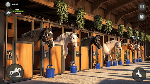 Horse Racing Rider Horse Games