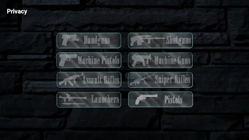 Real Gun Sounds