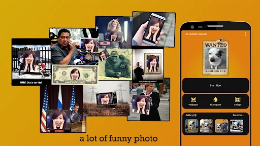 Funny Photo Collage