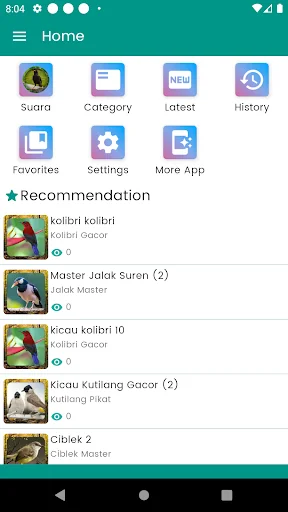 Suara Burung Jalak Kebo