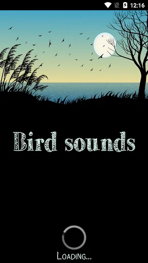 Bird Sounds