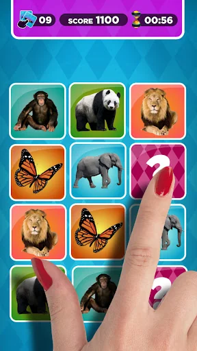 Memory Match: Picture matching