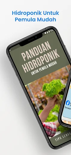 Hidroponik Untuk Pemula Mudah
